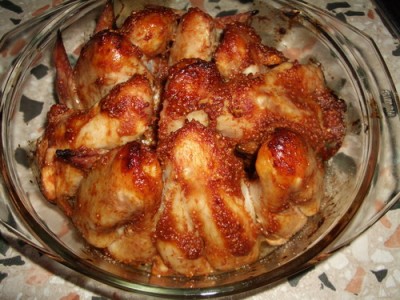 kriil 2007 01 28.jpg